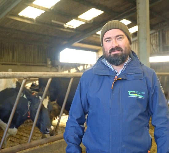 Watch: Top tips for efficient winter breeding