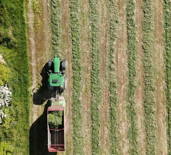 Farming 2025 look back with Agriland