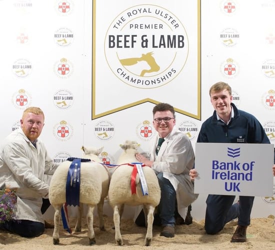 Lambs hit record high of £820 at RUAS championships