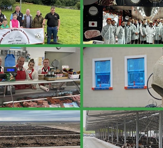 Rural focus revisit: A look back at some of the 2025 focus stories