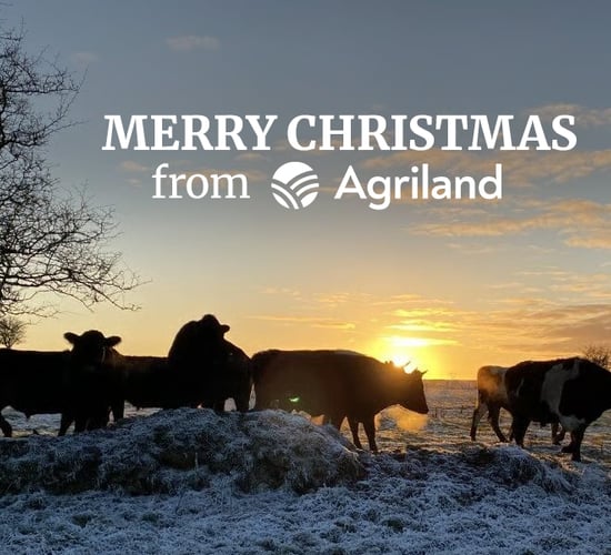 Watch: Happy Christmas from the Agriland Team