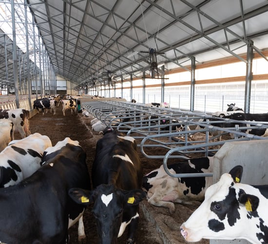 DAFM: Important nitrates deadlines for 2025