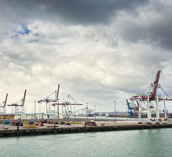 Commission to 'reinforce significantly' controls on all agri-food products from January