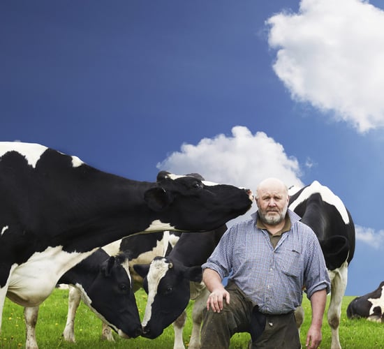 ICOS: Proposed next CAP budget poses 'severe' risk for co-ops