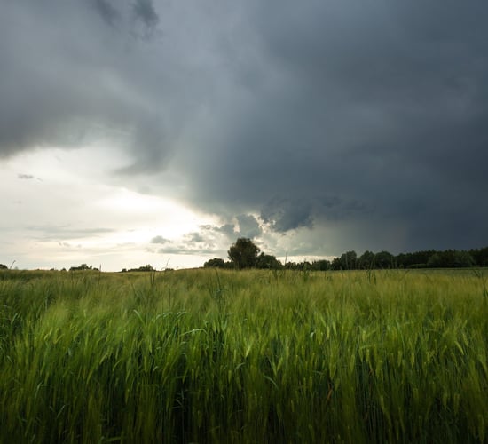 Farmers advised that rainfall will be 'above average' in coming days - Met Éireann
