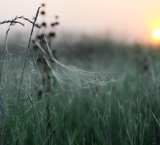 'Largely dry conditions' this week but weather to turn colder  - Met Éireann