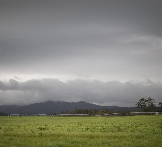 First quarter of 2026 could see 'above average rainfall overall'