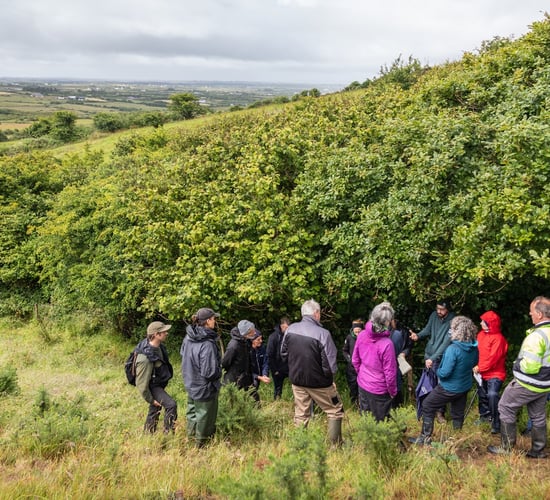 Kerry woodland project seeks landowners and farmers