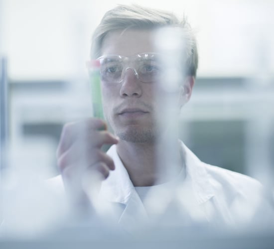 NI waiting on test results from Germany and England on suspected bluetongue samples