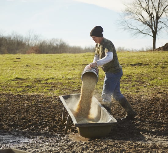 Reward farmers for 'maintaining lower nitrates rates along a sliding scale' - ICSA