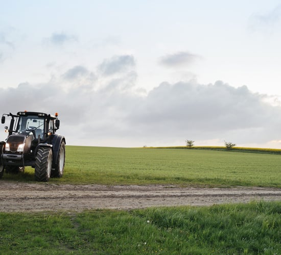 Which farm sector will have the best prospects in 2026?