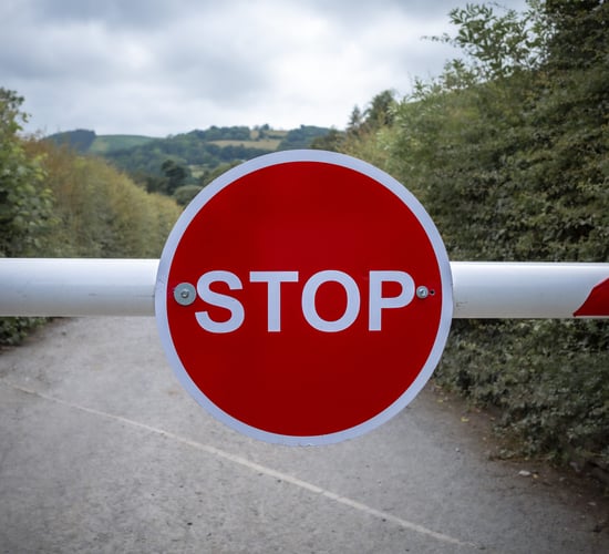 Bluetongue: Livestock moving from NI to south should be stopped - Independent Ireland