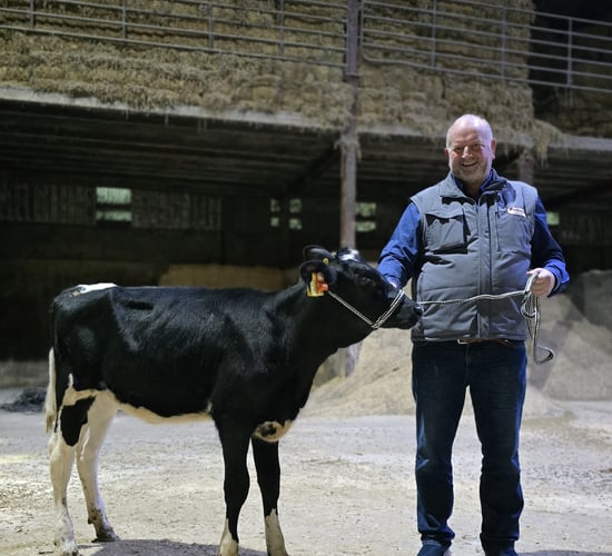 Redhouse Holsteins open day to raise funds for NI Air Ambulance Service