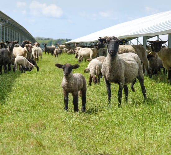 Unlock the power of your land