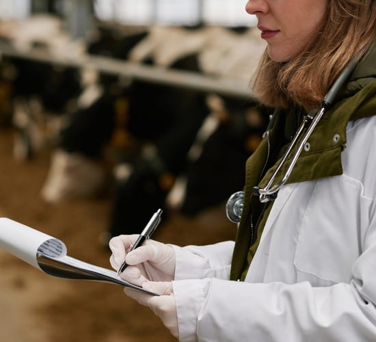 Heydon: 'Additional targeted and risk-based' bluetongue surveillance now in place