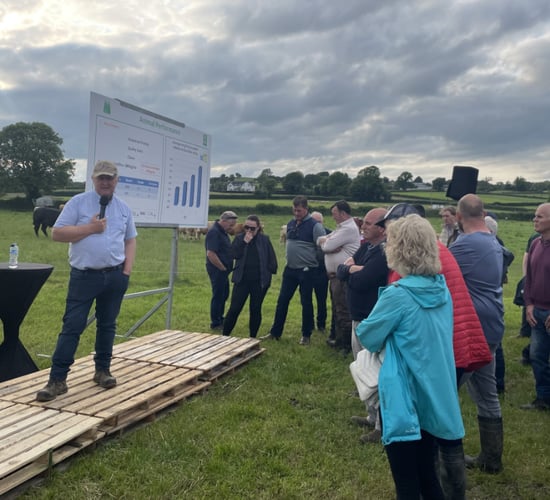 Rural Focus revisit: Why this farmer goes 'west' to buy cattle