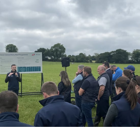 Year in review: ABP's Advantage Beef Programme 2025