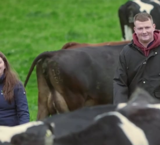 Can you have a dairy farming career without your own farm?