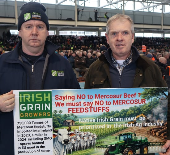 Feed mills urged to clarify Mercosur grain imports at Athlone event