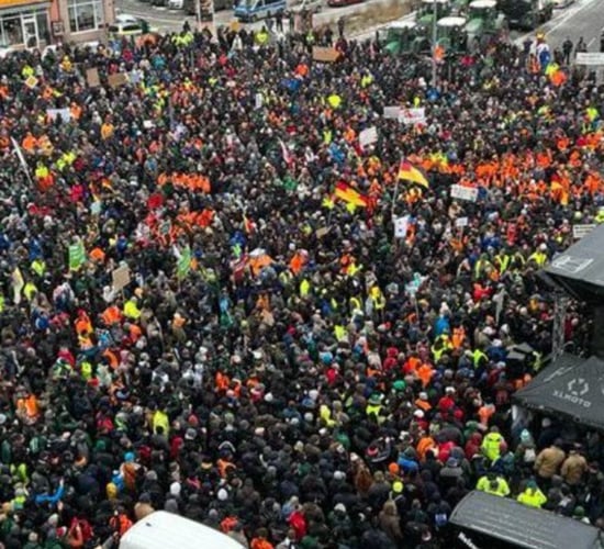 Charolais society calls on all farmers to attend Mercosur protest