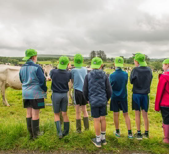 Public trust in Irish dairy farmers increases - NDC