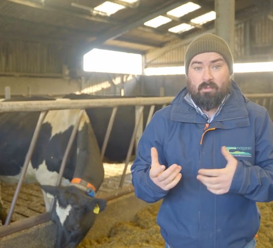 Top tips for the winter breeding season