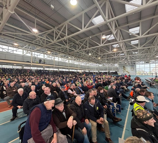 Livestream of Athlone rally against Mercosur deal to start shortly