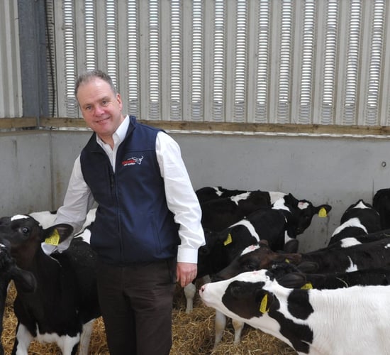 Mineral blocks going pink to fight breast cancer