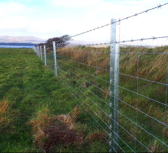 Fence maintenance ahead of 2026 grazing season