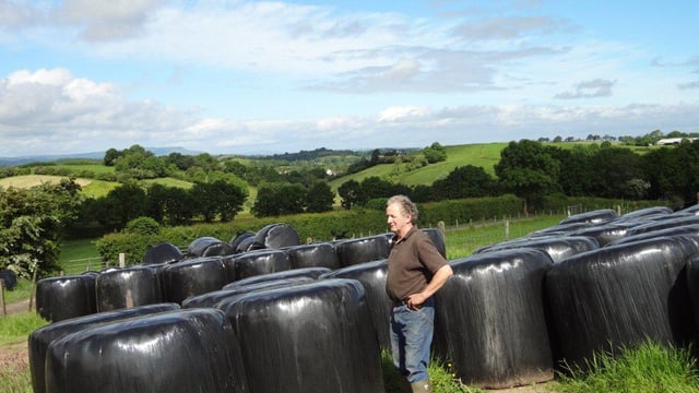 Managing grass to produce fodder