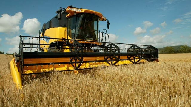 Average tillage farm income to fall by €14,000 in 2016 - Teagasc