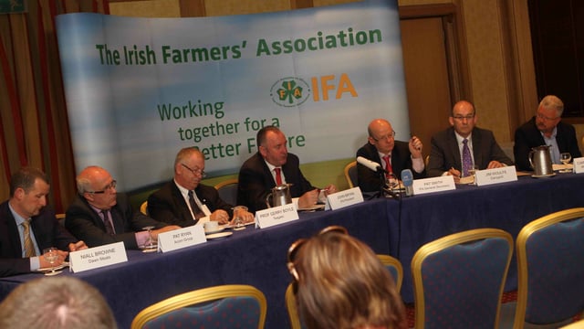 Beef, tillage most vulnerable in CAP - Teagasc