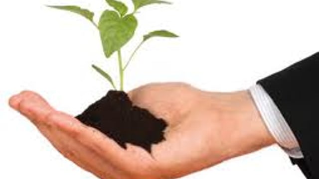 What it takes to be a thriving entrepreneur