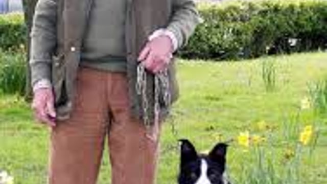 Sheepdog bob sells for world record sum