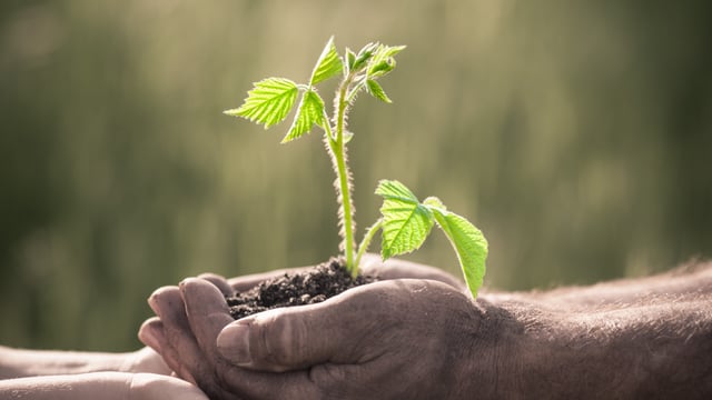 Young farmers CAP worth €24m as Jagoe lands CEJA role