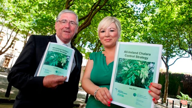 Strategy to control Ash Tree Chalara Dieback