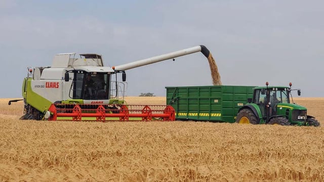Barley going for gold as first harvest yield a hit