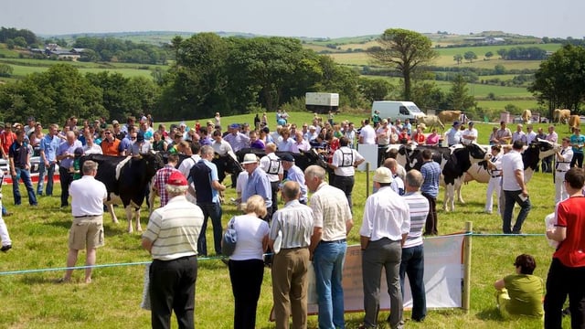 Top awards at IHFA Open Day