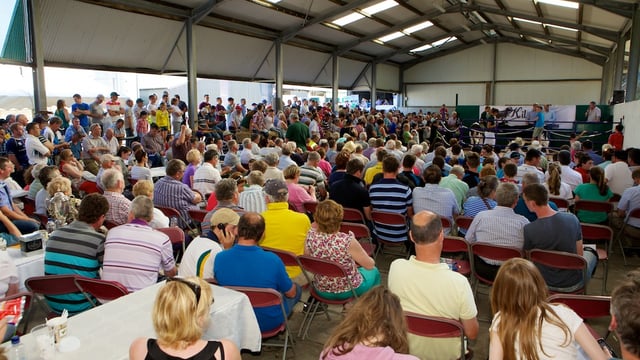 Journal : IHFA open day in Cork