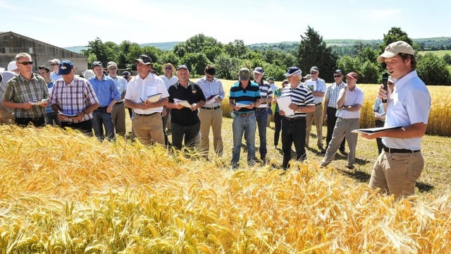This year's seed crops "may exceed expectations"