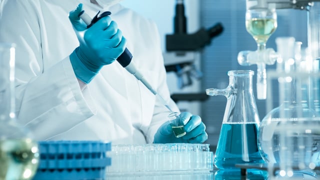 Antimicrobials now 'less effective' in tackling animal-transmitted diseases