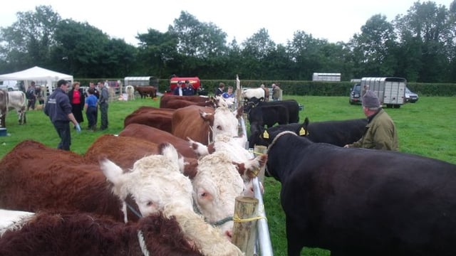 Longford Show to Return