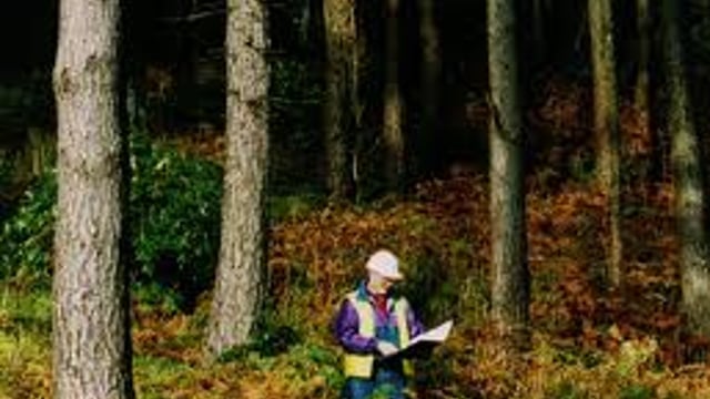 Teagasc out in force to assist forest owners in Munster