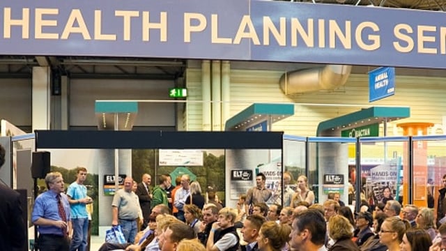 Huge Irish show at Livestock UK