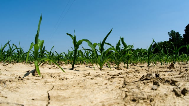UN: July 2022 was among warmest on record