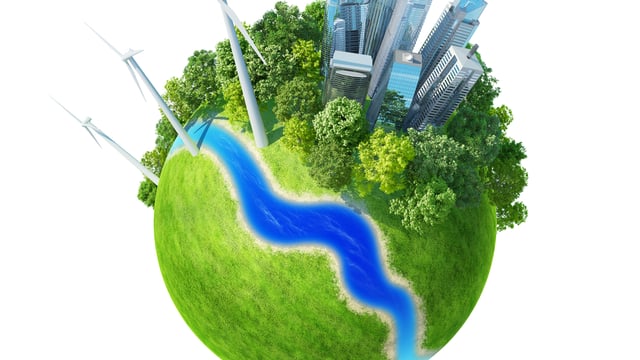 Greening measures will do little to improve biodiversity