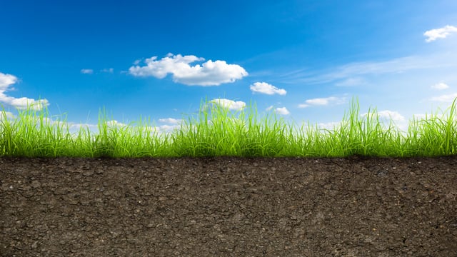 Grasstec: Important grazing decisions
