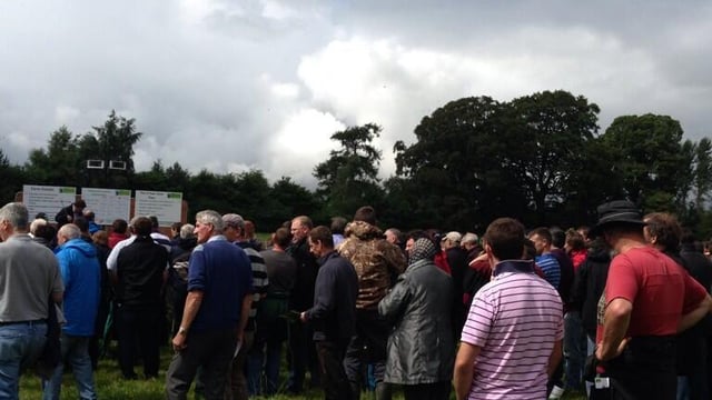 700 beef farmers at Teagasc Better Farm Open Day