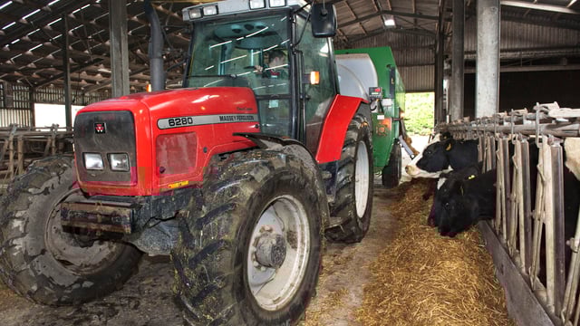 Dairy advice: Easing the Christmas day workload