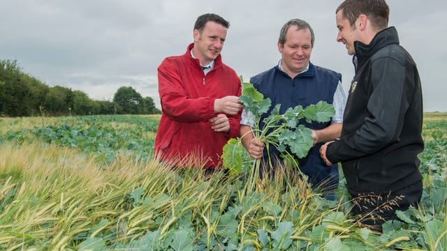 Tipperary co-op prepares for winter forage storage